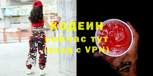mdpv Вяземский