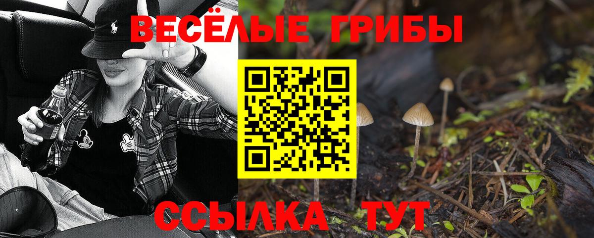 Галлюциногенные грибы Psilocybine cubensis Уварово
