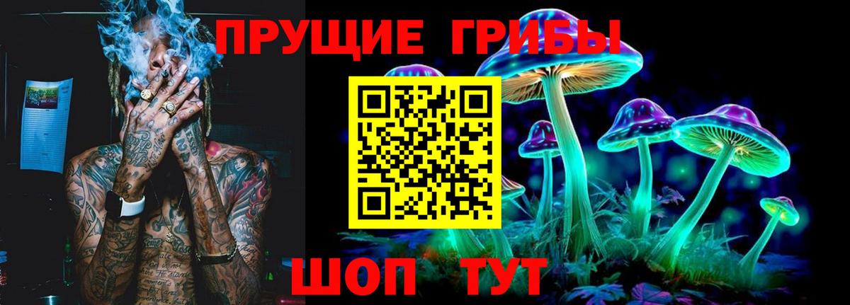 Псилоцибиновые грибы Psilocybine cubensis  Вход с VPN  Уварово 